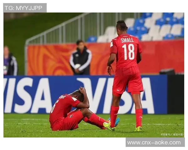 2014年足球盛宴回顾：激情赛场与难忘瞬间的完美交融